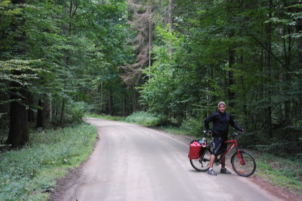 trak do białowieży